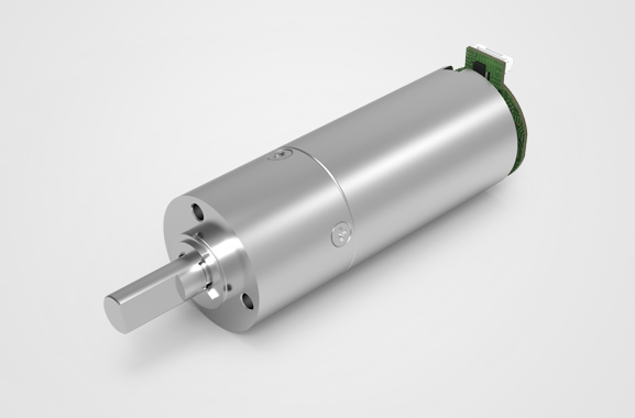 ��������צ���